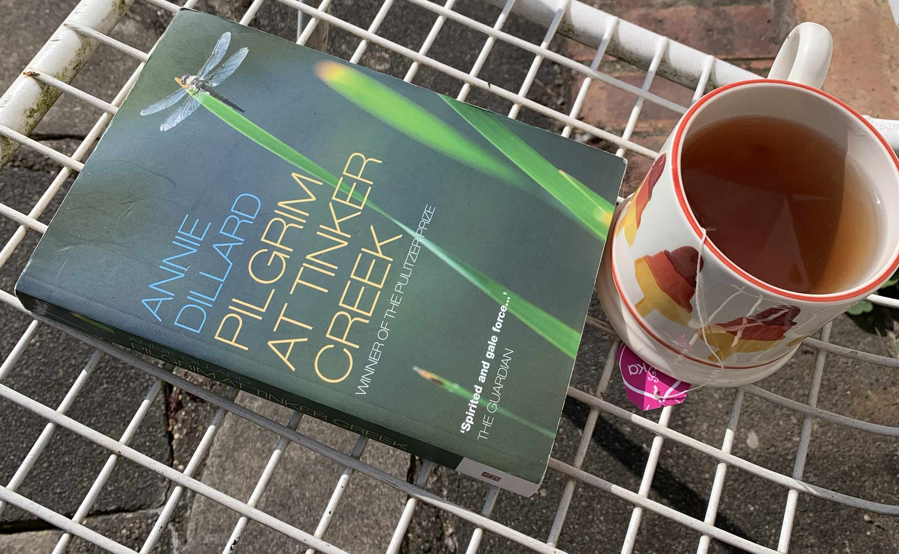 Book of Pilgrim at Tinker Creek by Annie Dillard alongside a cup of tea.