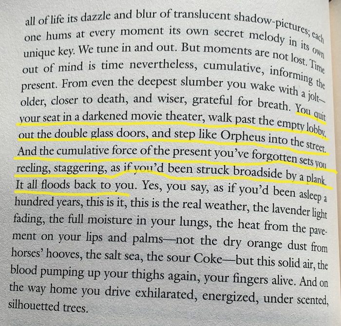 excerpt from Pilgrim at Tinker Creek by Annie Dillard.