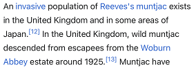 An invasive population of Reeves's muntjac exists in the United Kingdom and in some areas of Japan.[12] In the United Kingdom, wild muntjac descended from escapees from the Woburn Abbey estate around 1925.